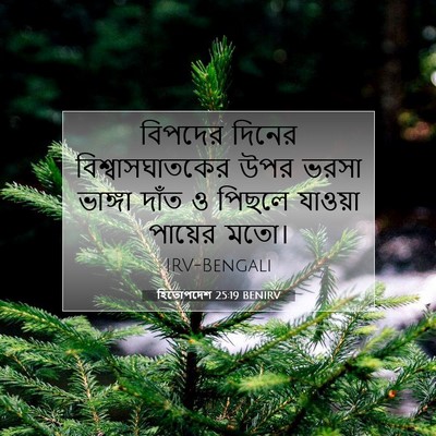 Picture 07 - হিতোপদেশ 25:19 BENIRV - বিপদের দিনের - Bible Verse Picture