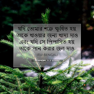 Picture 07 - হিতোপদেশ 25:21 BENIRV - যদি তোমার শত্রু - Bible Verse Picture