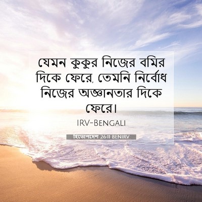 Picture 07 - হিতোপদেশ 26:11 BENIRV - যেমন কুকুর নিজের - Bible Verse Picture