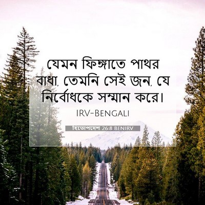 Picture 07 - হিতোপদেশ 26:8 BENIRV - যেমন ফিঙ্গাতে - Bible Verse Picture