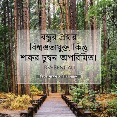 Picture 07 - হিতোপদেশ 27:6 BENIRV - বন্ধুর প্রহার - Bible Verse Picture
