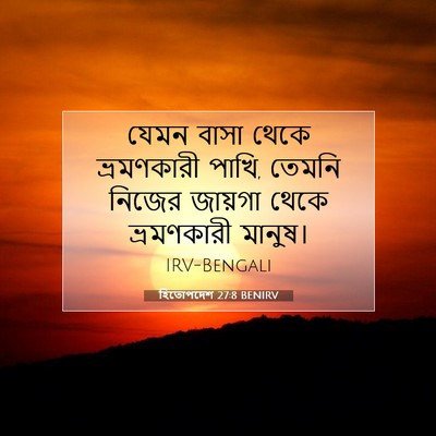Picture 07 - হিতোপদেশ 27:8 BENIRV - যেমন বাসা থেকে - Bible Verse Picture