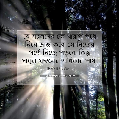 Picture 07 - হিতোপদেশ 28:10 BENIRV - যে সরলদের কে খারাপ - Bible Verse Picture
