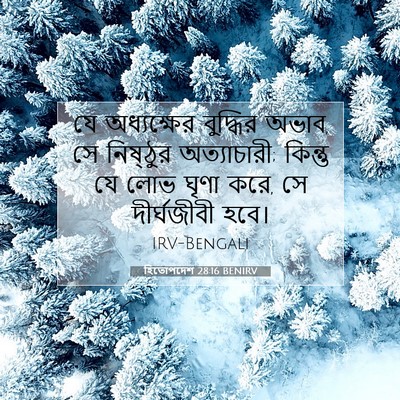 Picture 07 - হিতোপদেশ 28:16 BENIRV - যে অধ্যক্ষের - Bible Verse Picture