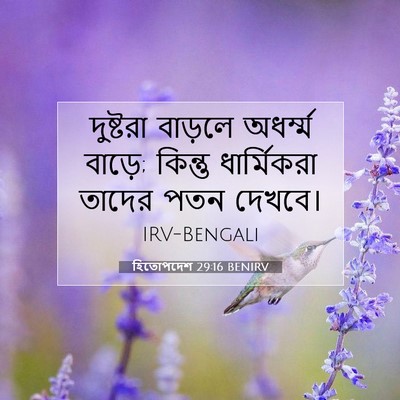 Picture 07 - হিতোপদেশ 29:16 BENIRV - দুষ্টরা বাড়লে - Bible Verse Picture
