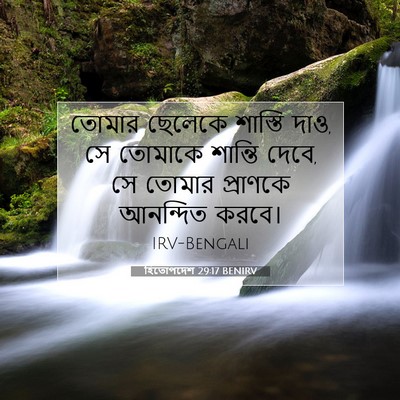 Picture 07 - হিতোপদেশ 29:17 BENIRV - তোমার ছেলেকে - Bible Verse Picture