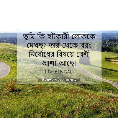 Picture 07 - হিতোপদেশ 29:20 BENIRV - তুমি কি হটকারী - Bible Verse Picture