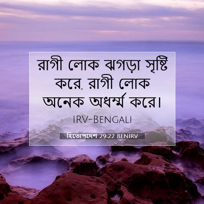 Picture 07 - হিতোপদেশ 29:22 BENIRV - রাগী লোক ঝগড়া - Bible Verse Picture