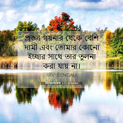 Picture 07 - হিতোপদেশ 3:15 BENIRV - প্রজ্ঞা গয়নার - Bible Verse Picture