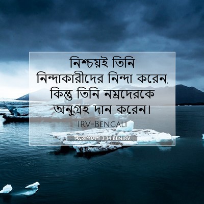 Picture 07 - হিতোপদেশ 3:34 BENIRV - নিশ্চয়ই তিনি - Bible Verse Picture
