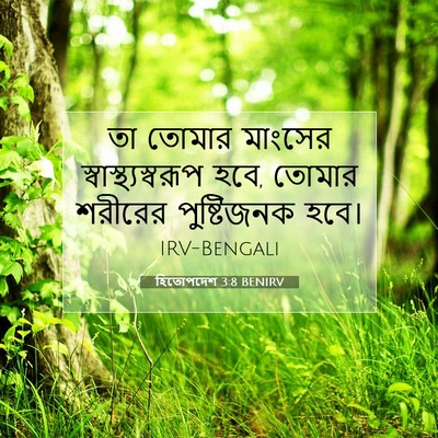 Picture 07 - হিতোপদেশ 3:8 BENIRV - তা তোমার মাংসের - Bible Verse Picture