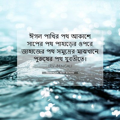 Picture 07 - হিতোপদেশ 30:19 BENIRV - ঈগল পাখির পথ আকাশে, - Bible Verse Picture