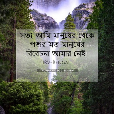 Picture 07 - হিতোপদেশ 30:2 BENIRV - সত্য, আমি মানুষের - Bible Verse Picture