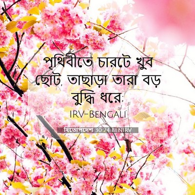 Picture 07 - হিতোপদেশ 30:24 BENIRV - পৃথিবীতে চারটে - Bible Verse Picture