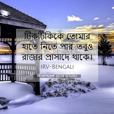 Picture 07 - হিতোপদেশ 30:28 BENIRV - টিকটিকিকে তোমার - Bible Verse Picture