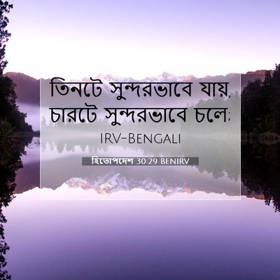 Picture 07 - হিতোপদেশ 30:29 BENIRV - তিনটে সুন্দরভাবে - Bible Verse Picture