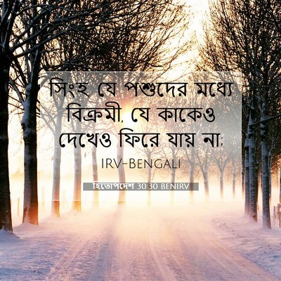 Picture 07 - হিতোপদেশ 30:30 BENIRV - সিংহ, যে পশুদের - Bible Verse Picture
