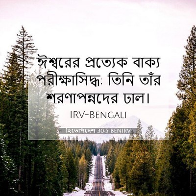 Picture 07 - হিতোপদেশ 30:5 BENIRV - ঈশ্বরের প্রত্যেক - Bible Verse Picture