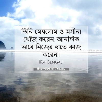 Picture 07 - হিতোপদেশ 31:13 BENIRV - তিনি মেষলোম ও - Bible Verse Picture