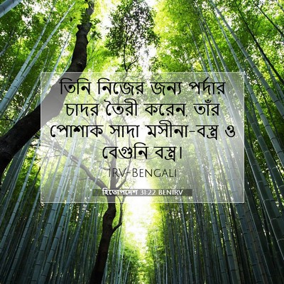 Picture 07 - হিতোপদেশ 31:22 BENIRV - তিনি নিজের জন্য - Bible Verse Picture