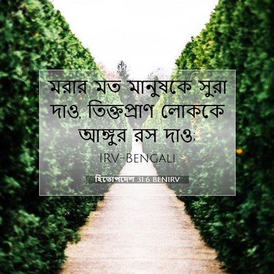 Picture 07 - হিতোপদেশ 31:6 BENIRV - মরার মত মানুষকে - Bible Verse Picture
