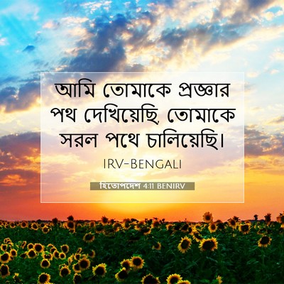 Picture 07 - হিতোপদেশ 4:11 BENIRV - আমি তোমাকে - Bible Verse Picture