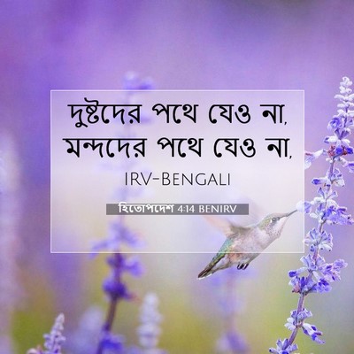 Picture 07 - হিতোপদেশ 4:14 BENIRV - দুষ্টদের পথে যেও - Bible Verse Picture