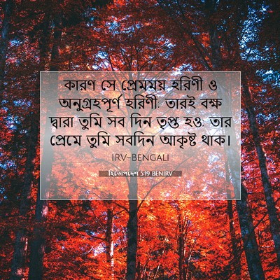 Picture 07 - হিতোপদেশ 5:19 BENIRV - কারণ সে প্রেমময় - Bible Verse Picture