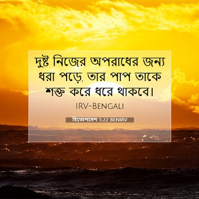Picture 07 - হিতোপদেশ 5:22 BENIRV - দুষ্ট নিজের - Bible Verse Picture