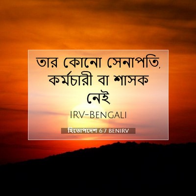 Picture 07 - হিতোপদেশ 6:7 BENIRV - তার কোনো সেনাপতি, - Bible Verse Picture