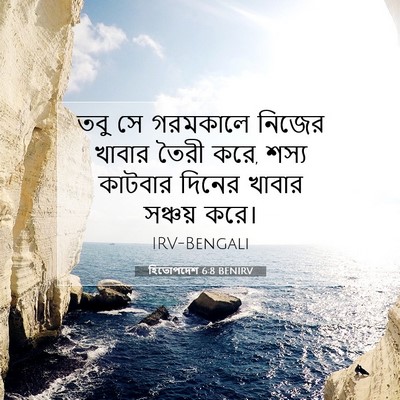 Picture 07 - হিতোপদেশ 6:8 BENIRV - তবু সে গরমকালে - Bible Verse Picture