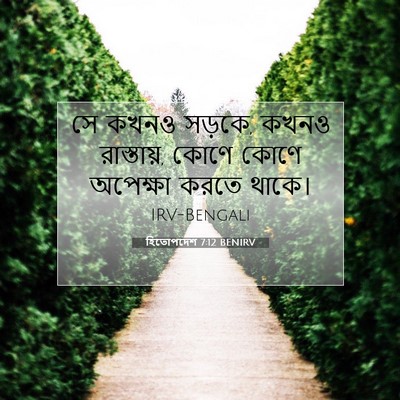 Picture 07 - হিতোপদেশ 7:12 BENIRV - সে কখনও সড়কে, কখনও - Bible Verse Picture