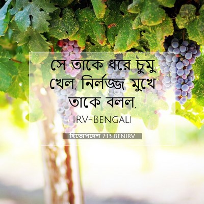 Picture 07 - হিতোপদেশ 7:13 BENIRV - সে তাকে ধরে চুমু - Bible Verse Picture