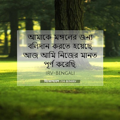 Picture 07 - হিতোপদেশ 7:14 BENIRV - আমাকে মঙ্গলের - Bible Verse Picture
