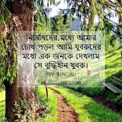 Picture 07 - হিতোপদেশ 7:7 BENIRV - নির্বোধদের মধ্যে - Bible Verse Picture