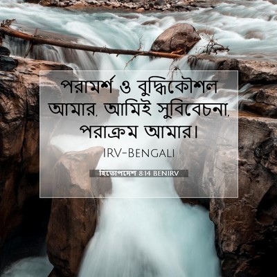 Picture 07 - হিতোপদেশ 8:14 BENIRV - পরামর্শ ও - Bible Verse Picture