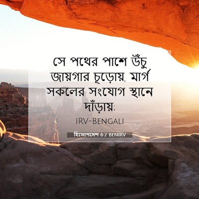 Picture 07 - হিতোপদেশ 8:2 BENIRV - সে পথের পাশে উঁচু - Bible Verse Picture