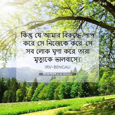 Picture 07 - হিতোপদেশ 8:36 BENIRV - কিন্তু যে আমার - Bible Verse Picture