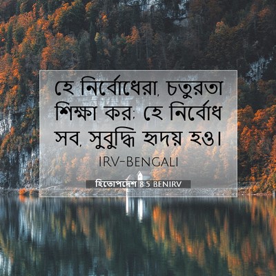 Picture 07 - হিতোপদেশ 8:5 BENIRV - হে নির্বোধেরা, - Bible Verse Picture