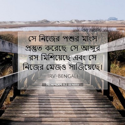Picture 07 - হিতোপদেশ 9:2 BENIRV - সে নিজের পশুর মাংস - Bible Verse Picture