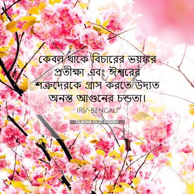 Picture 07 - হিব্রুদের 10:27 BENIRV - কেবল থাকে বিচারের - Bible Verse Picture