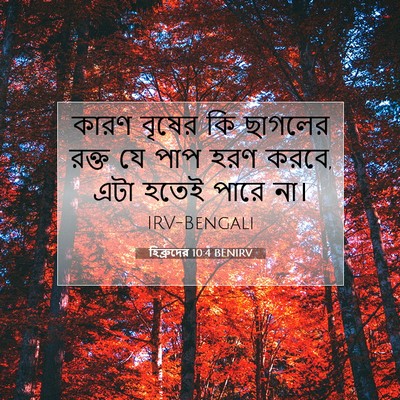 Picture 07 - হিব্রুদের 10:4 BENIRV - কারণ বৃষের কি - Bible Verse Picture