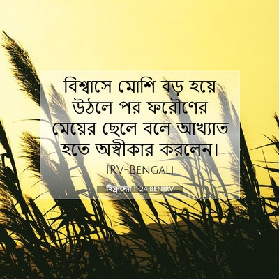 Picture 07 - হিব্রুদের 11:24 BENIRV - বিশ্বাসে মোশি বড় - Bible Verse Picture