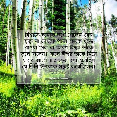 Picture 07 - হিব্রুদের 11:5 BENIRV - বিশ্বাসে হনোক - Bible Verse Picture
