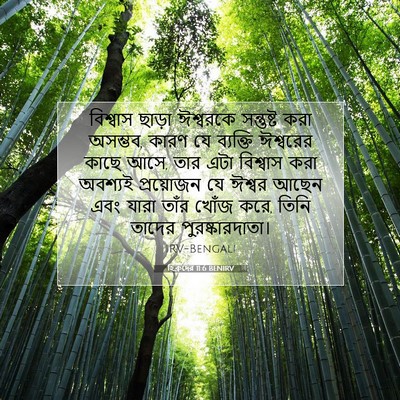 Picture 07 - হিব্রুদের 11:6 BENIRV - বিশ্বাস ছাড়া - Bible Verse Picture