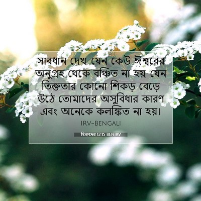 Picture 07 - হিব্রুদের 12:15 BENIRV - সাবধান দেখ, যেন কেউ - Bible Verse Picture