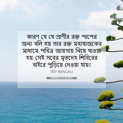 Picture 07 - হিব্রুদের 13:11 BENIRV - কারণ যে যে প্রাণীর - Bible Verse Picture