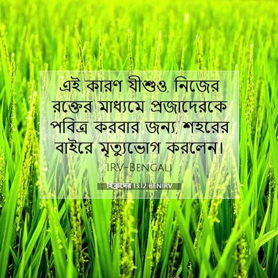 Picture 07 - হিব্রুদের 13:12 BENIRV - এই কারণ যীশুও, - Bible Verse Picture