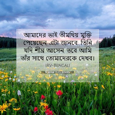 Picture 07 - হিব্রুদের 13:23 BENIRV - আমাদের ভাই - Bible Verse Picture