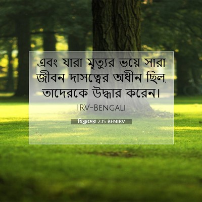 Picture 07 - হিব্রুদের 2:15 BENIRV - এবং যারা মৃত্যুর - Bible Verse Picture